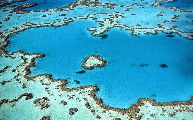 Uso della sabbia come fondo nell'acquario marino